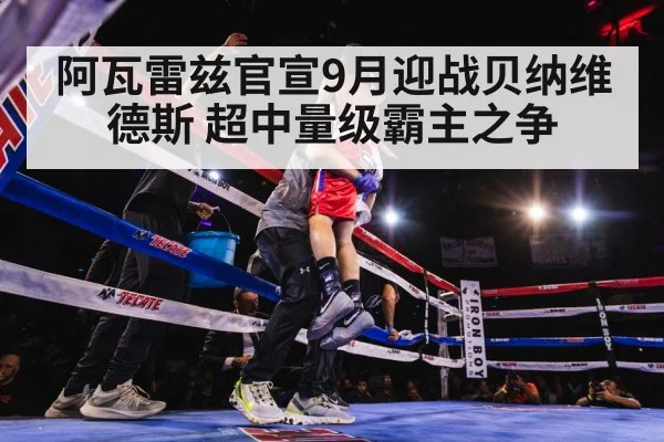 David Benavidez fight